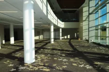 Thumbnail for Spacious modern lobby with large windows, white columns, and patterned carpet illuminated by natural sunlight.